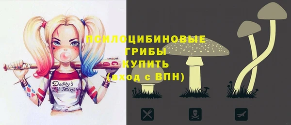 сатива Алексеевка