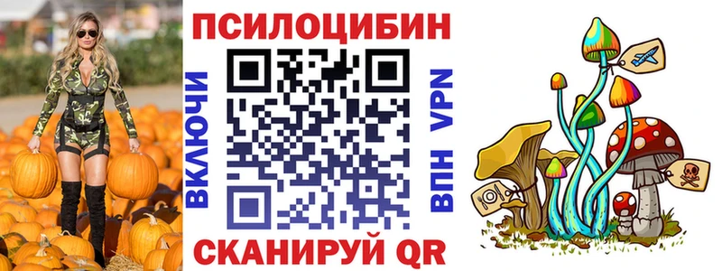 ссылка на мегу ссылки  Перевоз  Галлюциногенные грибы прущие грибы  купить наркоту 